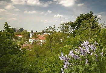 Kšely