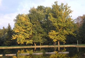 České Budějovice