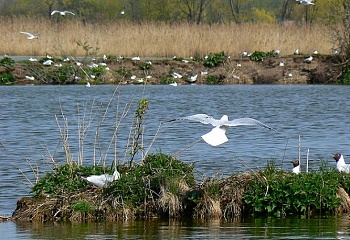 České Budějovice