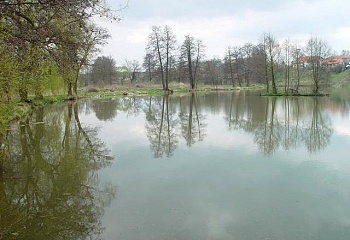 Šťáhlavy