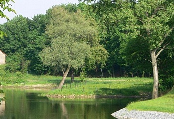 Bratčice