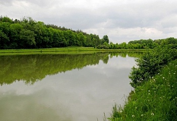 Hoštka
