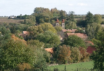 Tismice