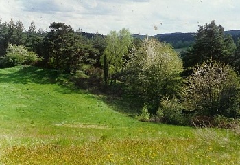 Nečín