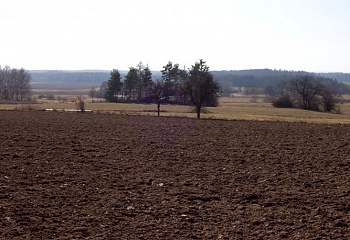 Ratiboř