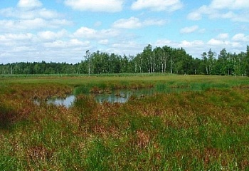 Třebeň