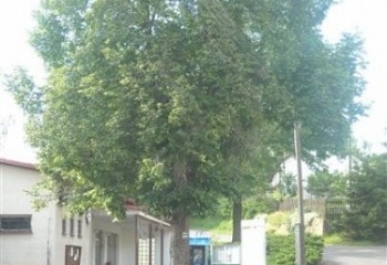 Nové Dvory