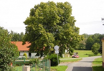 Žákava