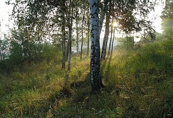 Nový Knín