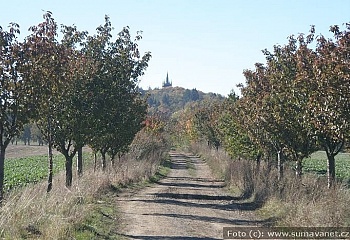 Chudenice