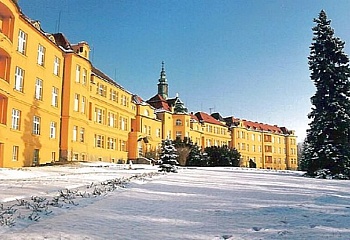 Nová Ves pod Pleší