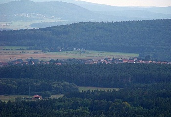 Bzová