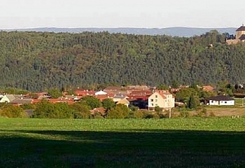 Bzová