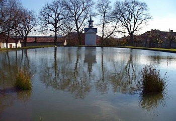 Bzová