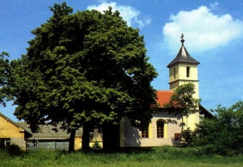Káraný