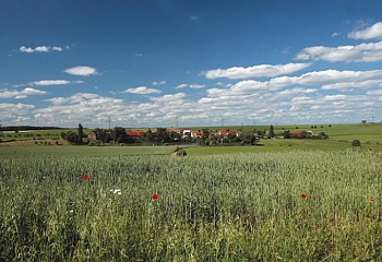 Roblín