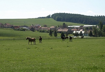 Milínov