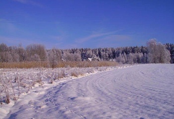 Kocbeře