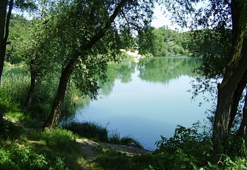 Konětopy