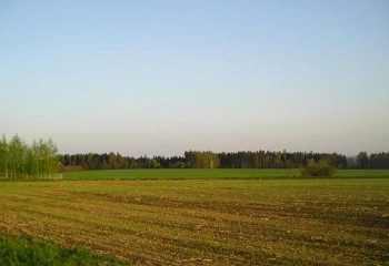 Libotov