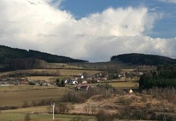 Javor