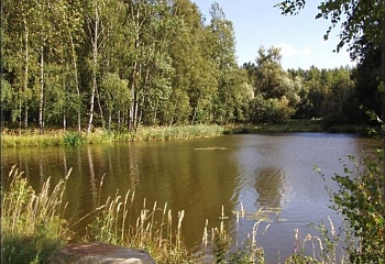 Záhoří