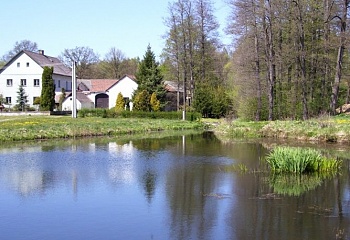 Ježená