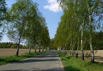 Vilantice