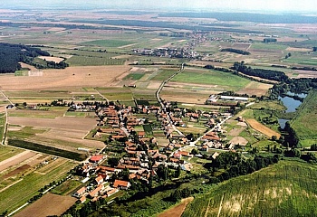 Křenek