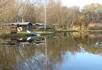 Křenek