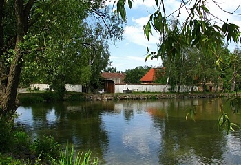 Květnice