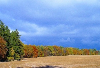 Zdobín