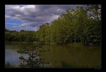 Červená Třemešná