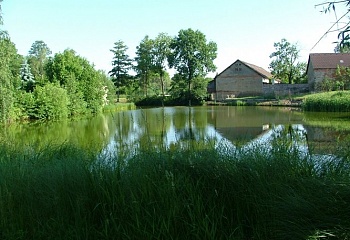 Močovice