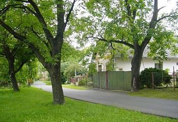 Paseka