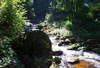 Benešov nad Černou