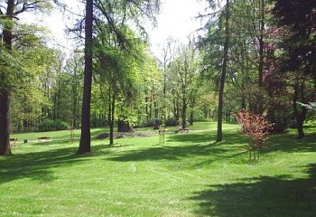 Dalovice