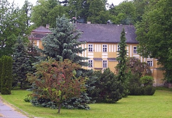 Puklice