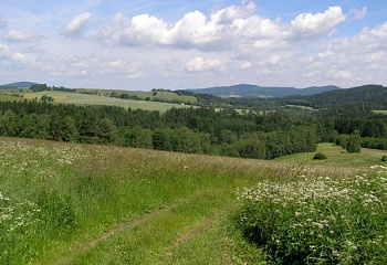Malonty