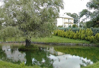 Partutovice