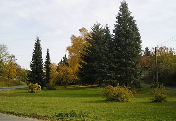 Olešná