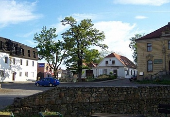 Škvorec