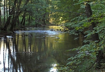 Rešice
