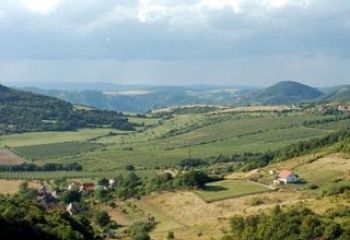 Malíč