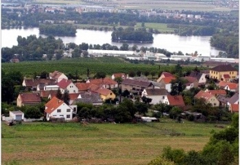 Michalovice