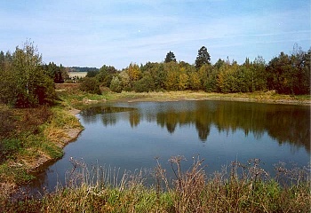Domašov nad Bystřicí
