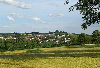 Havlíčkova Borová