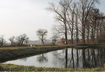 Skřipel