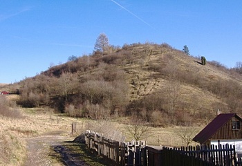 Točník