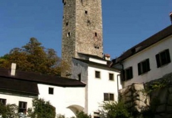 Růžená